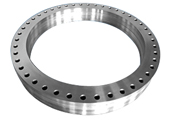 ring-rolled/Forged-Rings